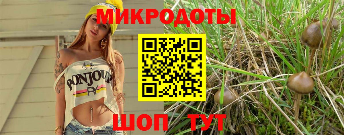 Галлюциногенные грибы Cubensis Городец